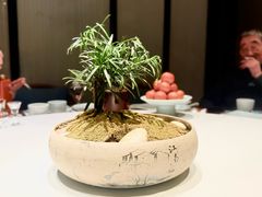 -淮扬府·游园京梦(中粮广场店)