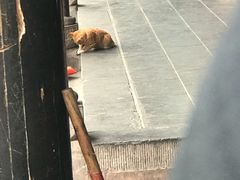-宫廷糕点铺