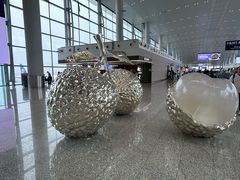 -广州白云国际机场-T2航站楼