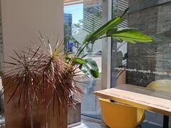 -Blueglass酸奶(财富购物中心店)