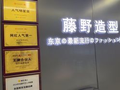 点击看大图 -藤野造型
