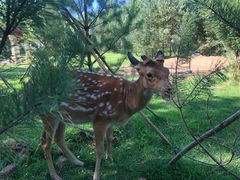 -亿利库布其七星湖沙漠生态旅游区