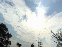 -凤岗南门山森林公园