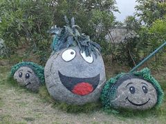 -湄洲岛