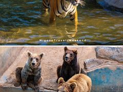 -济南野生动物世界