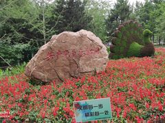 -长白岛森林公园