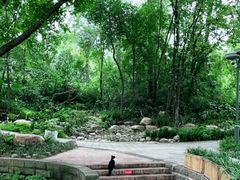 -成都市活水公园