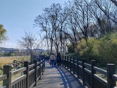 -羊山湖公园
