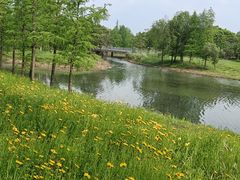 -贡湖湾湿地公园