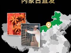 -旭文特产专卖店(张北店)