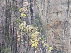 -河南宝泉旅游区