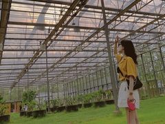 -前小桔亲子创意农场·草莓采摘·露营烧烤