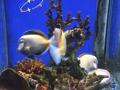 -海合安武汉极地海洋公园