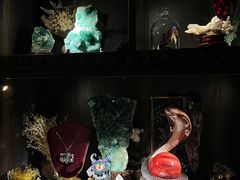 -雪灵魔法世界SHELLY’S TAROT(大良桂畔里店)