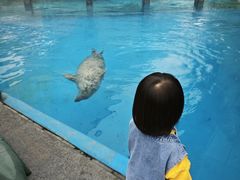 -海合安成都极地海洋公园