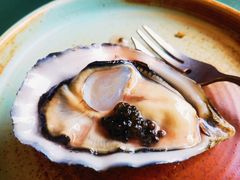 -普朗姆生蚝牛排馆 The Plump Oyster(成都摩方购物中心店)