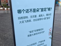 -首开·龙湖成都西宸天街