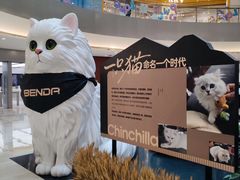 -宝龙城(杭州滨江店)