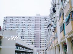 -彩虹村