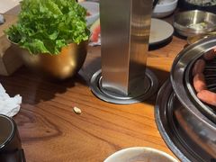 -九田家黑牛烤肉料理(新辰里亚运村店)