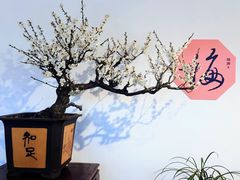 -颐和园