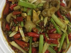火爆肥肠-四川泸州豆花饭店