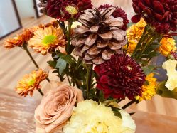 -元泉瑜伽培训学院