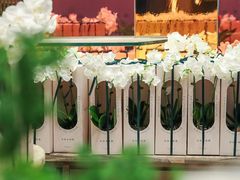 -SPARK(成都W酒店)