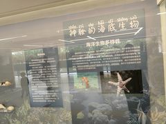 -三垟湿地