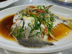 -众味海鲜大排档·活海鲜·潮汕味(南澳店)