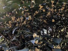 -南京金牛湖风景区