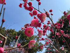 -宁波市保国寺古建筑博物馆