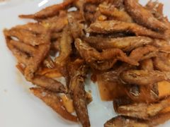 美极山坑鱼-姚林轩