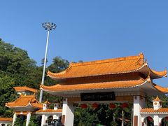 -深圳仙湖植物园
