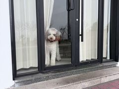 -麓舍全景太湖温泉别墅团建拓展会议亲子