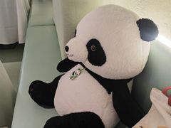 -眉州东坡·熊猫主题餐厅(枫蓝店)