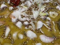 -三天打鱼(奥体店)