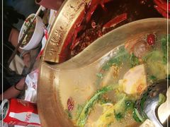 -小龙坎火锅(春熙太古里店)