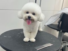 -帕帕拉兹宠物(亚洲旗舰店)