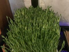 活体豆苗-左庭右院鲜牛肉火锅(百联临港店)