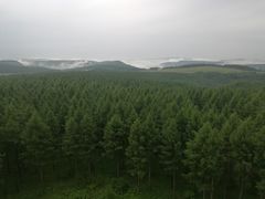 -塞罕坝国家级自然保护区