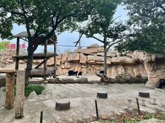 -上海野生动物园