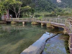 -靖西鹅泉风景区