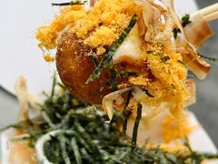 -嘟嘟嘴章鱼小丸子