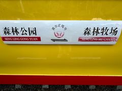 -莫尔道嘎国家森林公园