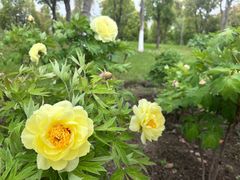 -狼山风景名胜区
