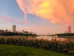 -南宁南湖公园