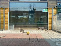 -西霞口神雕山野生动物世界