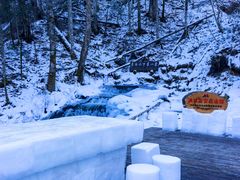 -峡谷浮石林景区