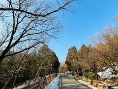 -八大处公园